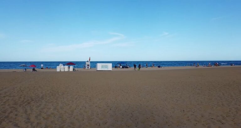 Things for Nature Lovers to Do On Virginia Beach Vacations.jpg