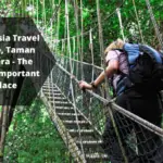 Malaysia Travel Guide, Taman Negara – The Most Important Place